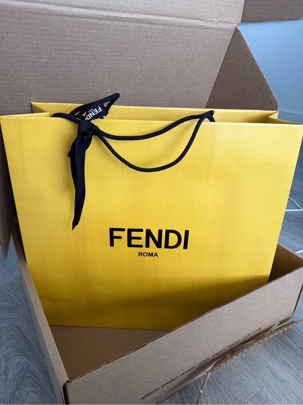Fendi Large Gift Bag with Black Ribbon